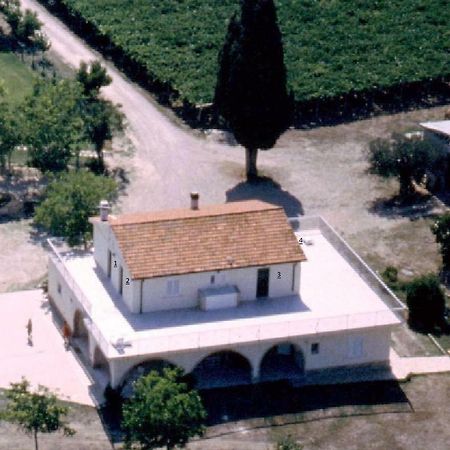 Agriturismo Torre Mannella - La Loggia Citta Sant'Angelo Dış mekan fotoğraf